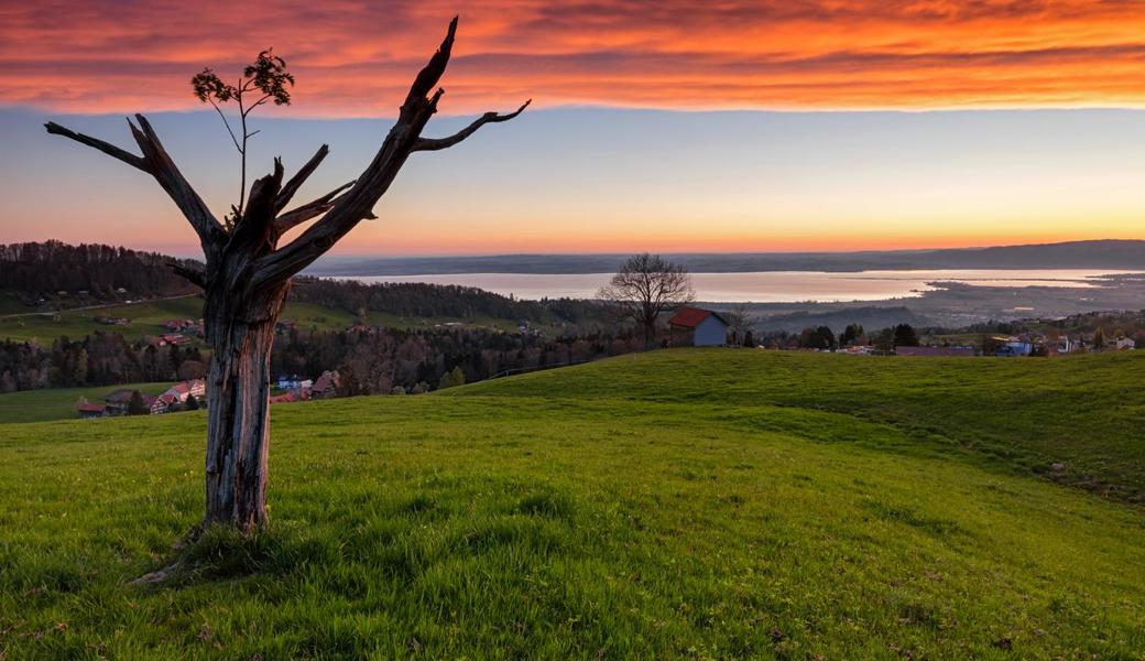 Saharastaub lässt den Himmel über der Schwarzenegg bei Heiden an Ostern rot leuchten.