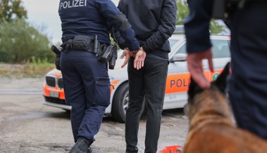 Auf frischer Tat ertappt: Polizei verhaftet zwei Einbrecher