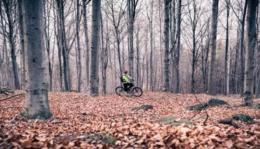 3 der schönsten Rheintaler Biketouren für den Winter