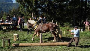 Ein Tag Holzrücken, ein Tag Gespannfahren