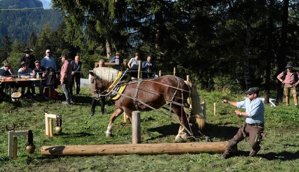 Beim Holzrücken geht es darum, einen Baumstamm möglichst geschickt durch einen Hindernisparcours zu manövrieren.