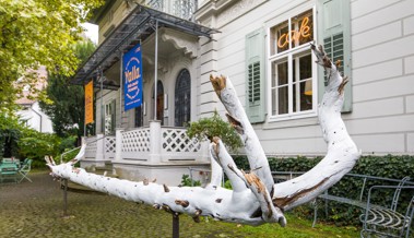 Der Rheintaler Kulturpreis «Goldiga Törgga» geht ans Jüdische Museum Hohenems