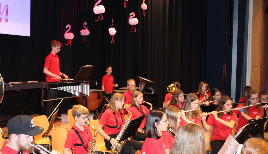 Jede Menge gelungener musikalischer Darbietungen und Ehrungen gab es beim Jahreskonzert des  Musikvereins Heerbrugg. 