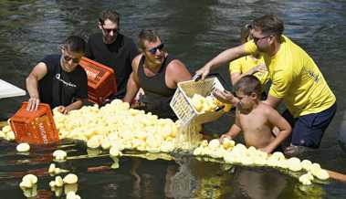 4200 Enten schwimmen bei sommerlicher Hitze den Kanal hinunter