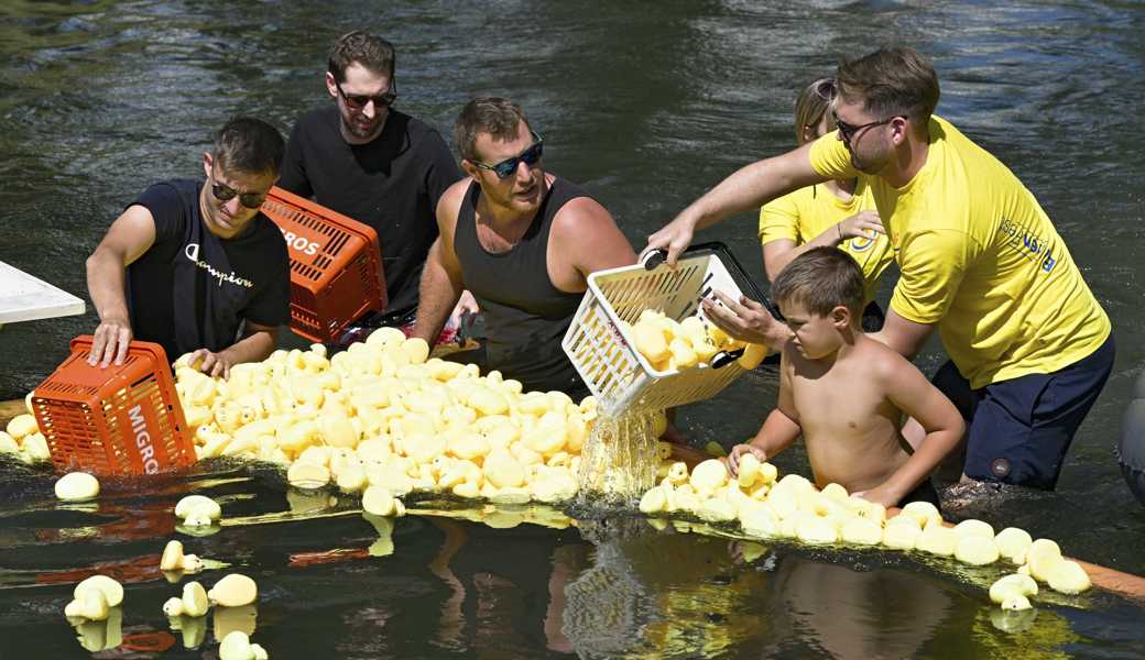 Die Rennenten wurden am Ziel empfangen, aus dem Binnenkanal gefischt und zum Trocknen ausgelegt. 