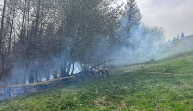 Der Föhn entfachte das Feuer: Bäume und Waldboden brannten im Bereich Alte Ruppenstrasse
