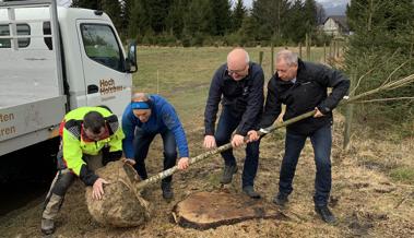 Video: Diepoldsau pflanzt 200 Bäume