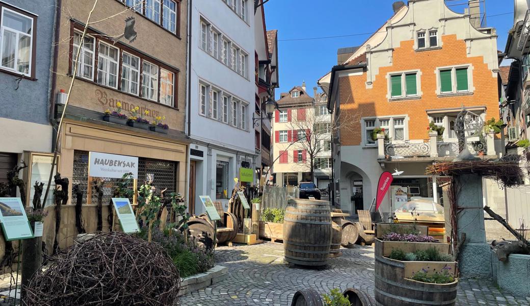 Aktuell beleben die grünen Naturstadt-Oasen die Altstadt.