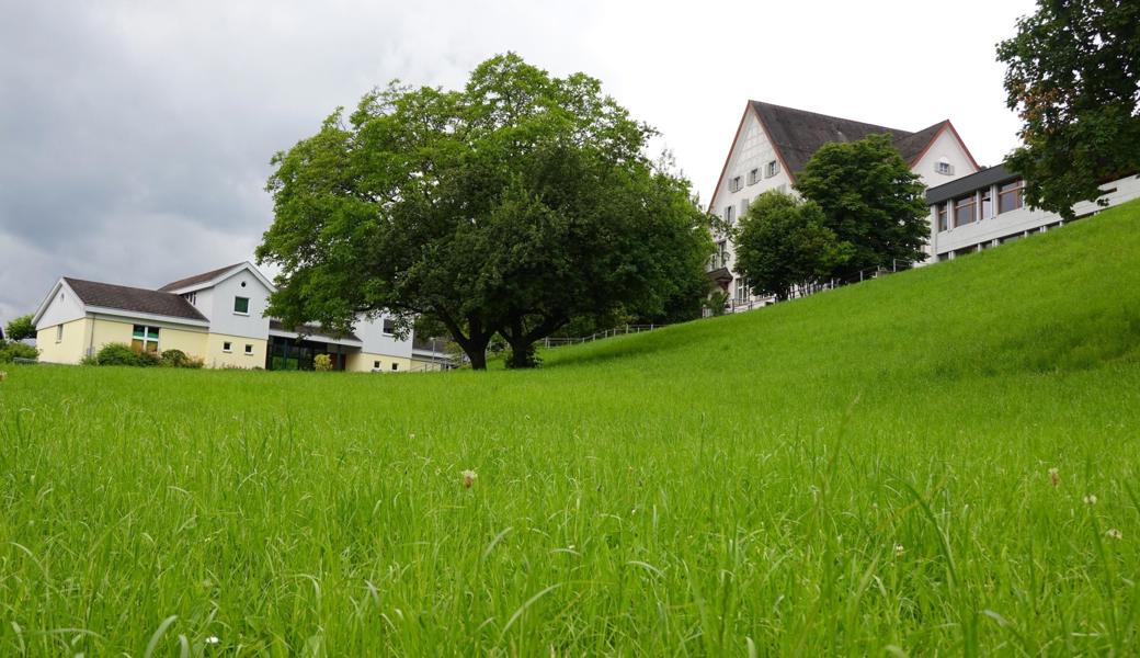 Für die Projektierung des Schulhausneubaus am Standort «Breite» (im Bild) hat die Bevölkerung einen Kredit genehmigt. Eine Motion fordert nun die «Rössliwiese» direkt an der stark befahrenen Hauptstrasse beim Rathaus zu favorisieren. 