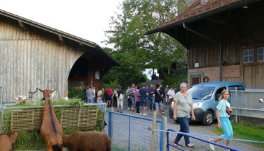 Ein Mitarbeitendengrillfest inmitten der Rebberge