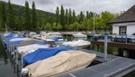 «Das ist ein unerhörter Schock»: Bootseinbrüche häufen sich im Herbst