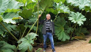 Garten: Pflanzen brauchen Nährstoffe