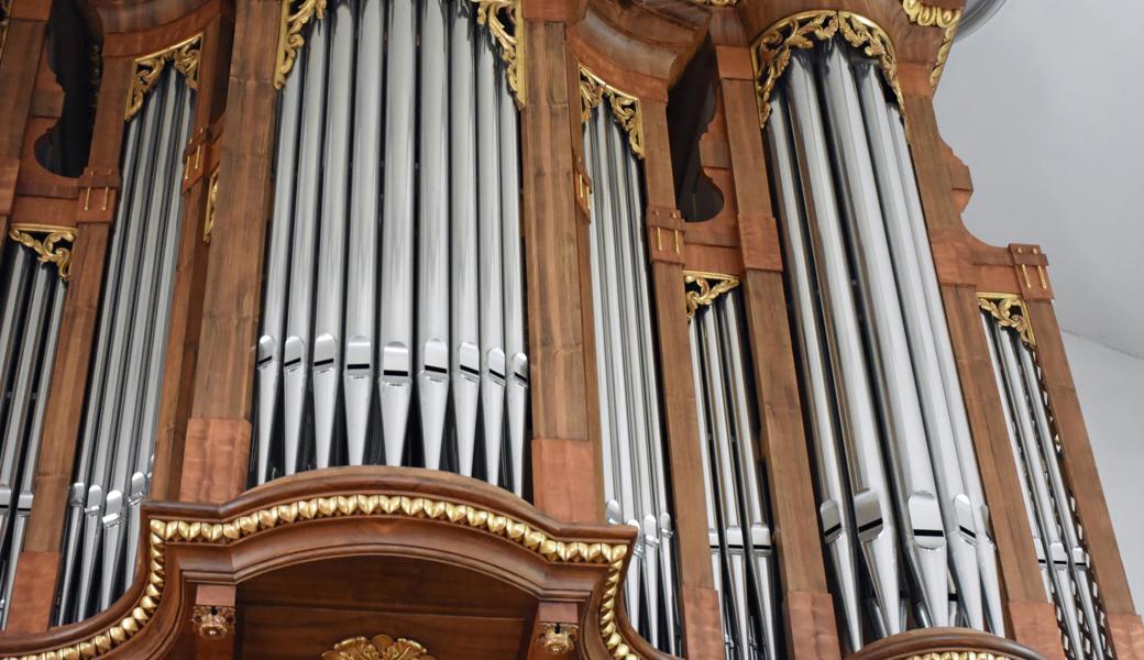 Die wunderschöne Orgel in der evangelischen Kirche in Rebstein sollte eigentlich nur eine Notenbeleuchtung bekommen. Dann wurde der Schimmel entdeckt.