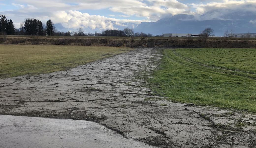 Noch sind die Spuren des alten Radwegs im Rheinvorland gut sichtbar.