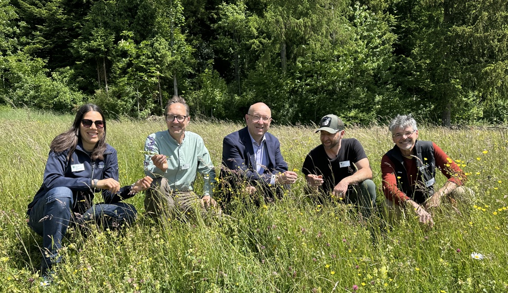 Belebte Flächen statt monotoner Rasen: Kanton macht Biodiversität sichtbar