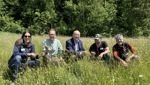 Belebte Flächen statt monotoner Rasen: Kanton macht Biodiversität sichtbar