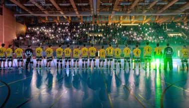 Das Playoff-Märchen der Rheintal Gators endet im vierten Finalspiel