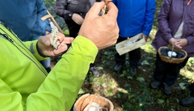 Pilzführung: Trotz Hagel und Wind gute Stimmung und viel Wissen
