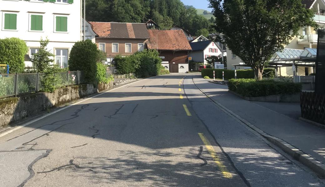 Die Trogenerstrasse wird über 400 Meter in fünf Etappen während 15 Wochen saniert. 