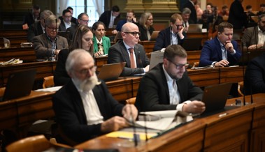 St. Galler Kantonsrat landet kaum Social-Media-Hits