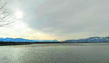 Grosses Auftanken am Bodensee