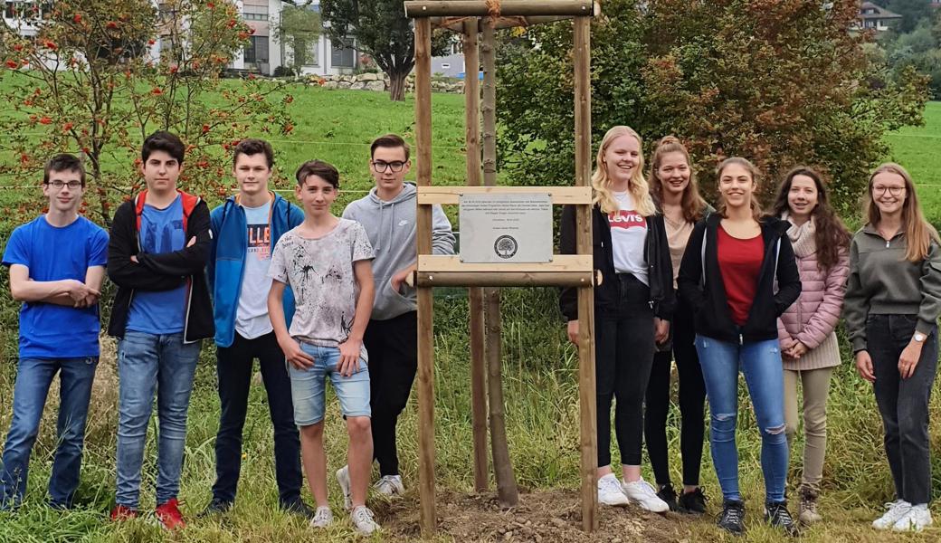 Die Jugendlichen hatten drei Jahre auf Suchtmittel verzichtet. Als Erinnerung an diese Leistung bekamen sie kürzlich einen Baum samt Plakette.