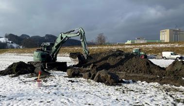 Bagger schürfen im Rheinvorland