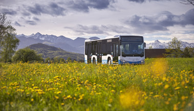 Subventionsbetrug bei Bus Ostschweiz AG: Ex-Verantwortliche vor Gericht