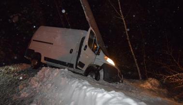 Tanne stoppt Lieferwagen