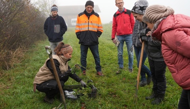 Praxisnaher Kurs zeigt: Wildsträucher sind wertvolle Lebensräume