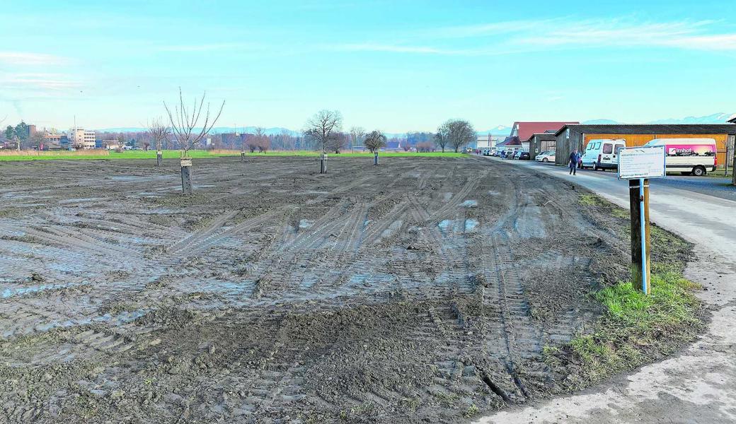 Der ohne Bewilligung verteilte Aushub muss nun mühsam wieder von der Wiese in Altenrhein entfernt werden. 