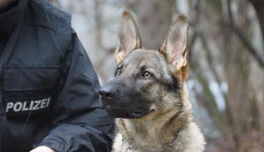 Polizisten mit extrem feiner Nase