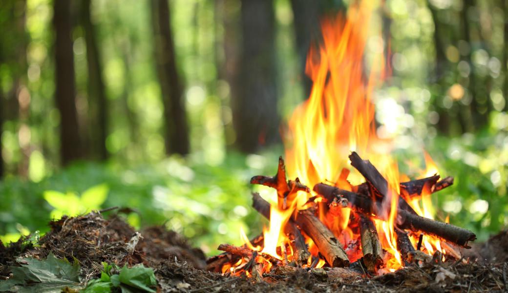 Im Wald und in Waldesnähe darf man wieder Feuer machen.