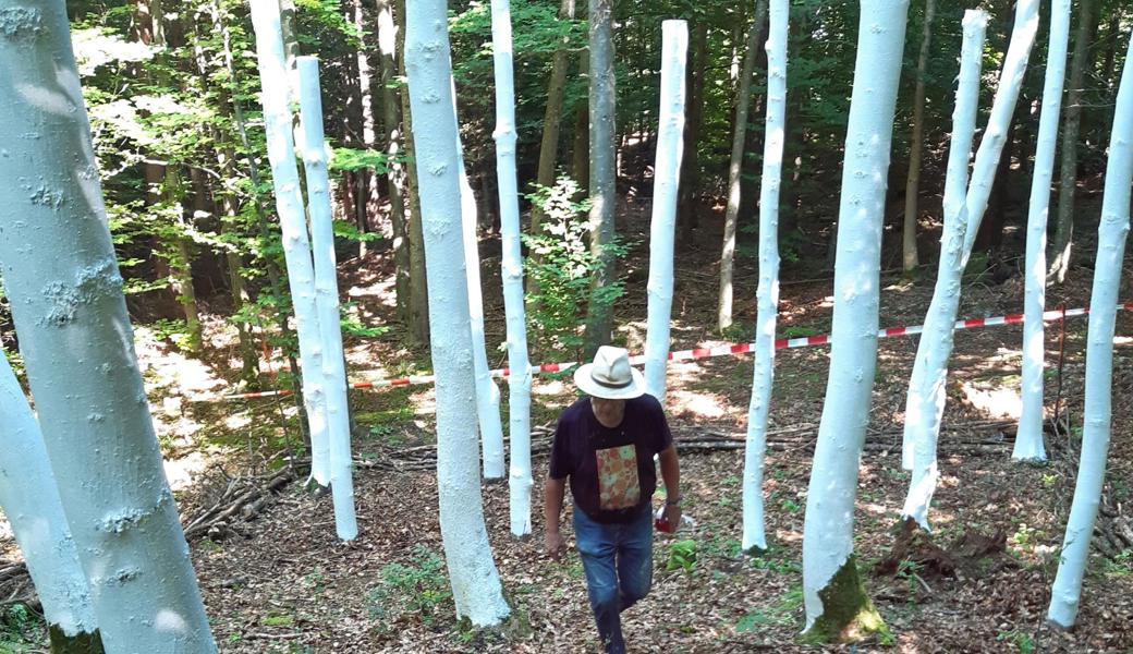 Zurechtgestutzt und weiss angestrichen: Die Bäume wirken fremd nach dem radikalen Eingriff. Der Oberrieter Bildhauermeister Hubert Müller symbolisiert mit dem Werk die weltweite Krise. 