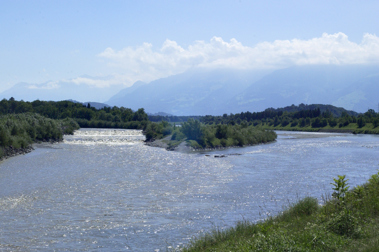 Das Wasser des Rheins ist gut - aber an der Ökologie hapert's