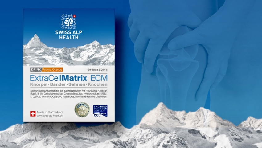 Gelenke und Knorpel - die Grundlagen unserer Mobilität Gelenke und Knorpel - die Grundlagen unserer Mobilität