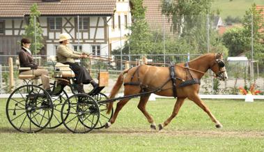 Fahrsporttage neu in Oberriet