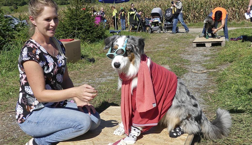 Der australische Hirtenhund Cara machte einen durchaus geduldigen Eindruck.