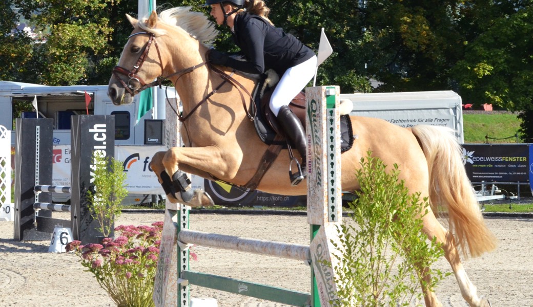 Herbstwetter und Springsport erfreuten Reiterin, Pferd und Publikum