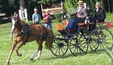 Rheintaler am Fahrcup-Final