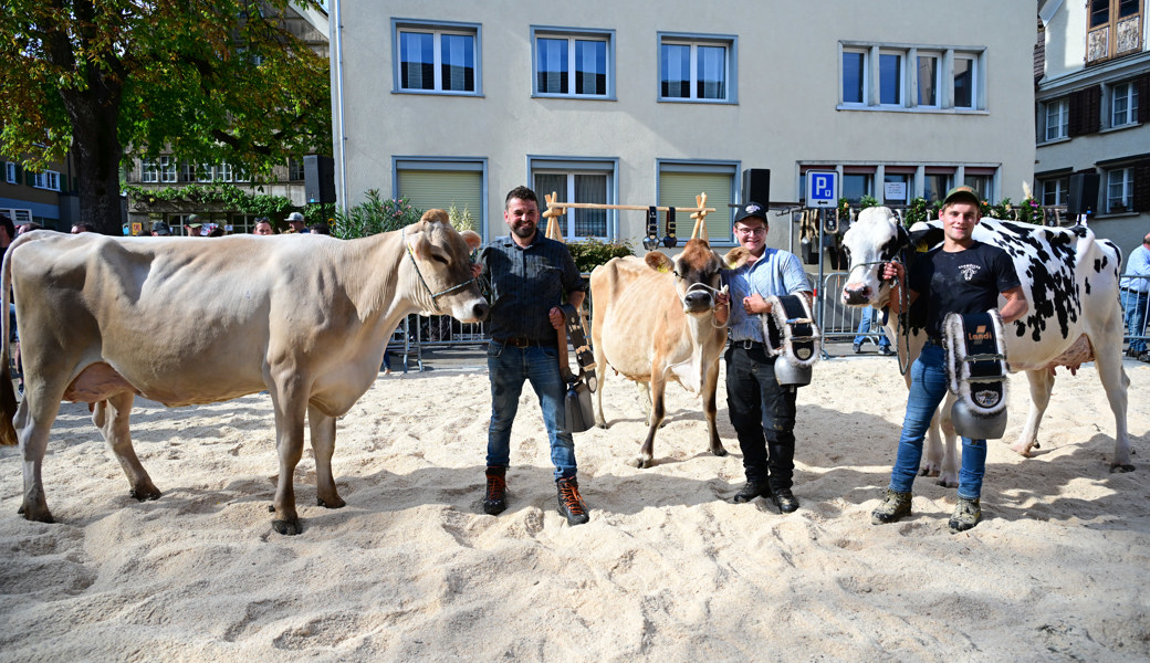 Tango, Lili und Baluma werden in Altstätten zu den neuen Missen gekürt