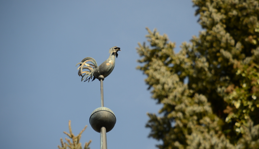 Kirchgemeinden wählen im Frühjahr ihre Behörden für die Amtszeit 2026 bis 2030