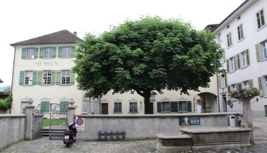 SVP spricht sich gegen die neue Leistungsvereinbarung fürs Museum Prestegg aus