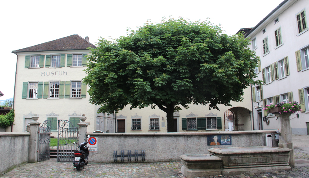 SVP spricht sich gegen die neue Leistungsvereinbarung fürs Museum Prestegg aus