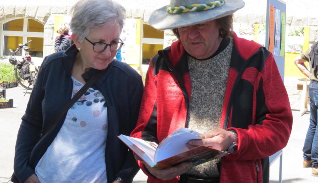 Informationen an Tafeln, in Broschüren und Büchern.