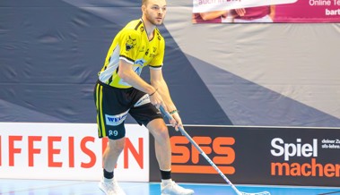 Erste von zwei Doppelrunden für die Rheintal Gators