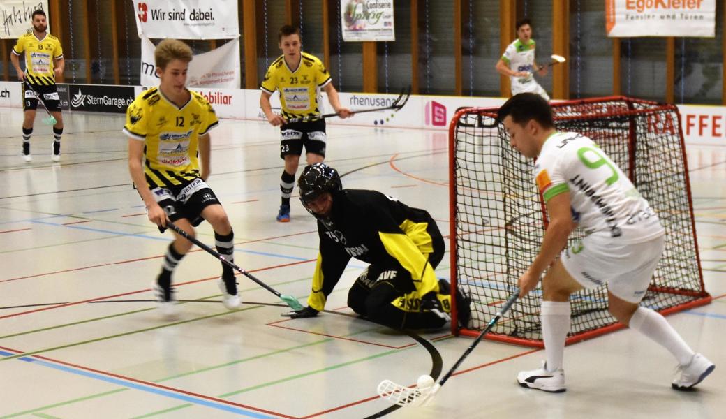 Die Gators begegneten dem NLA-Verein Waldkirch-St. Gallen auf Augenhöhe.