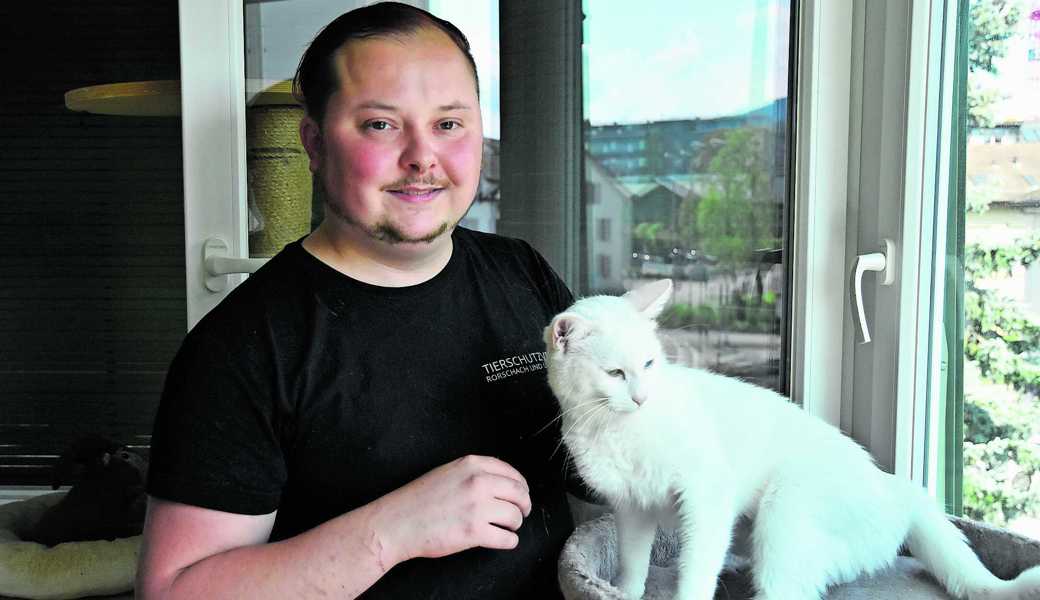 Claudio Eicher betreut in Rorschach vom Tierschutzverein gerettete Katzen und Ferienkatzen. Der 27-Jährige arbeitet hauptsächlich ehrenamtlich.