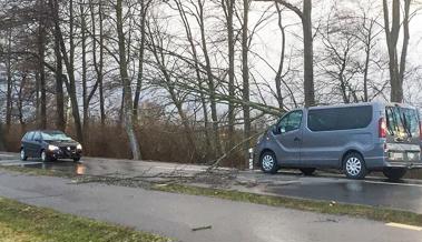 Bäume stürzten auf zwei Autos