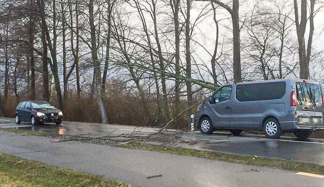 Beide Autos wurden während des Sturms von einem Baum getroffen.